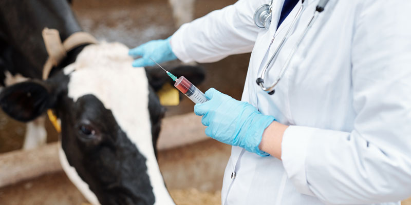 veterinary-drugs-food-1_17490160259103.jpg