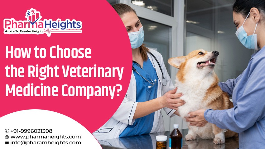 How to Choose the Right Veterinary Medicine Company?