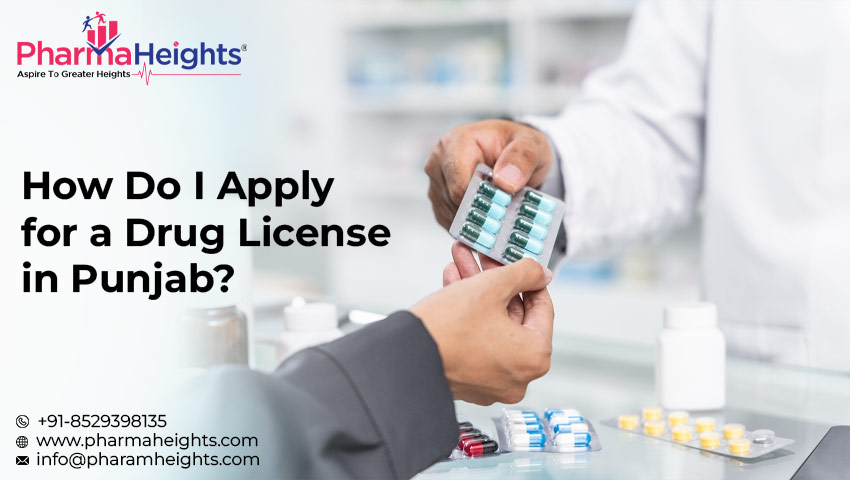How Do I Apply for a Drug License in Punjab