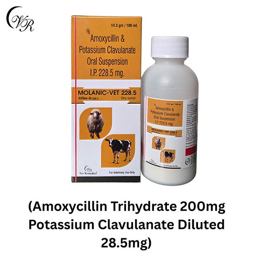 Molanic-Vet 228.5 Dry Syrups