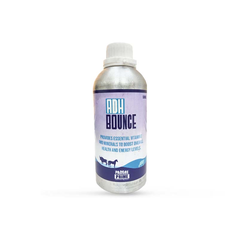 ADH Bounce 
